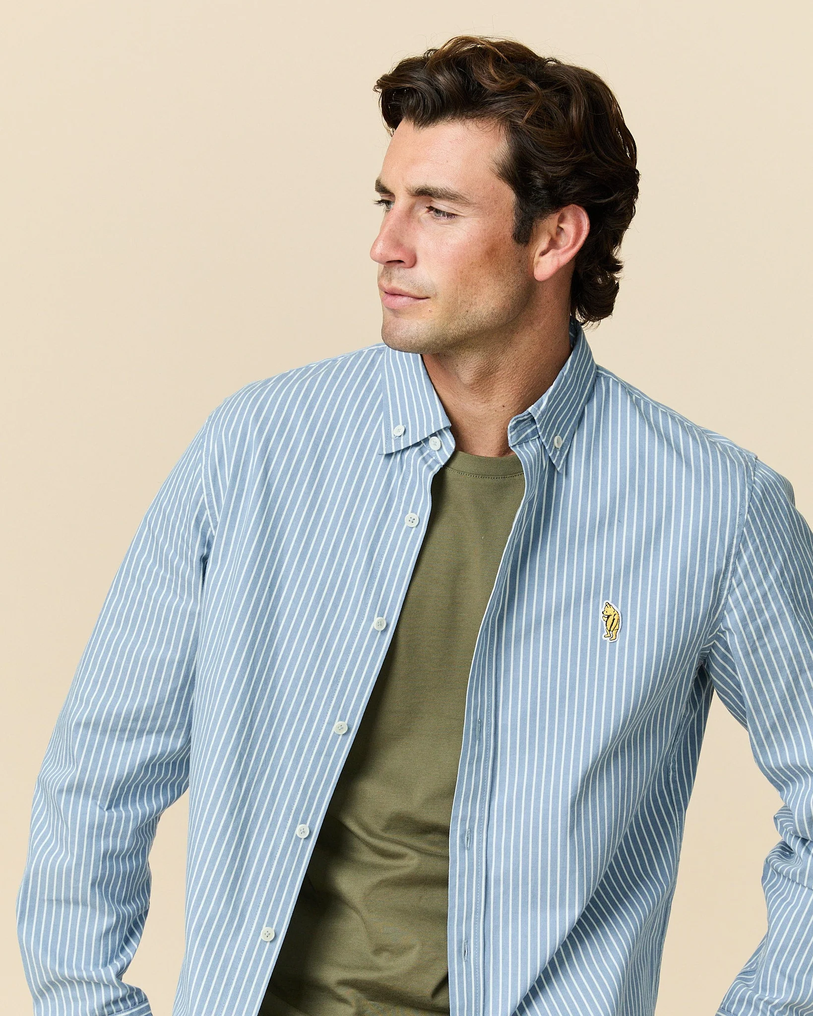 Men's Classic Stripe Pooh Shirt Blue White Stripe - Image 4