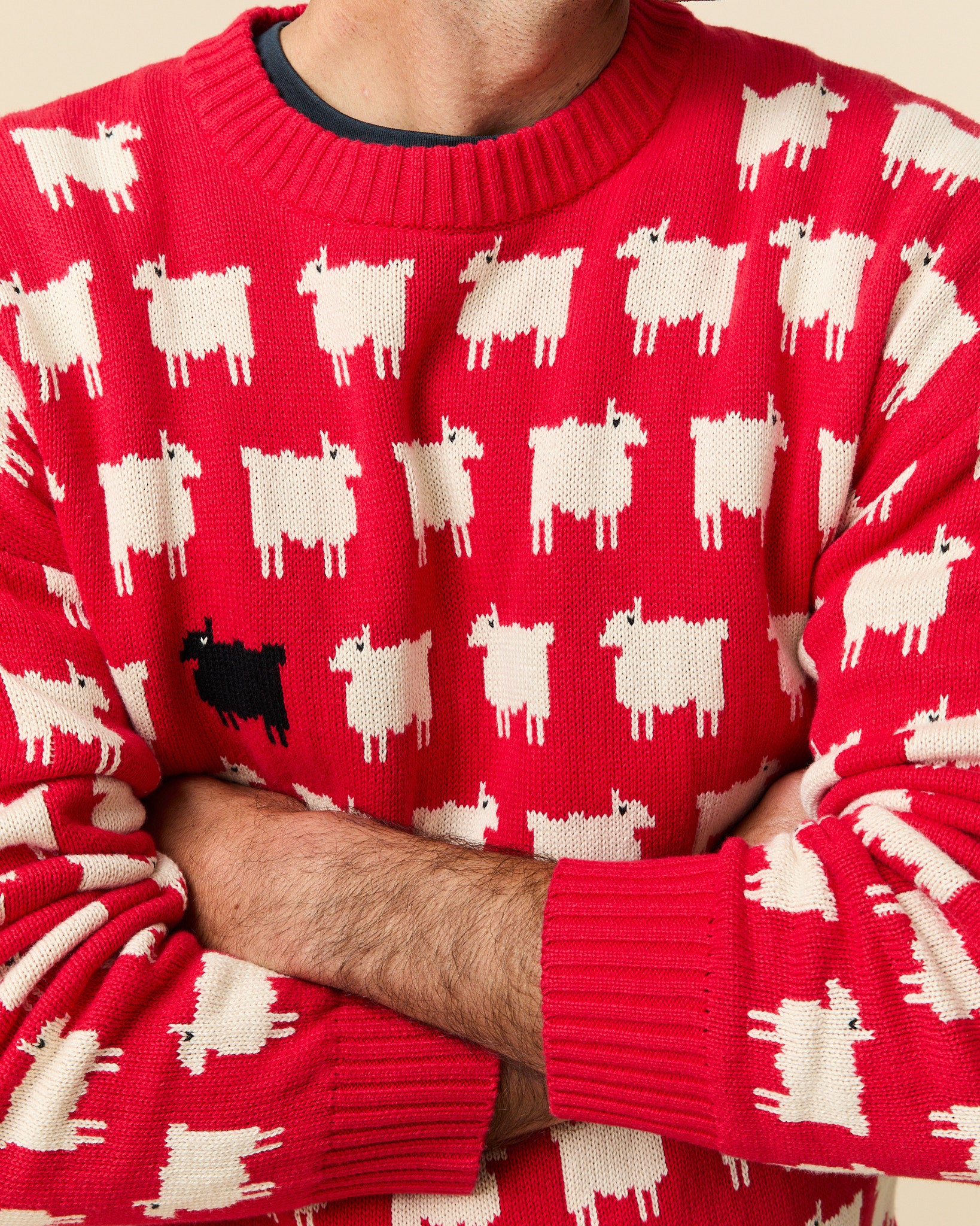 Warm & Wonderful Men's "Diana Edition" Cotton Sheep Sweater - Image 4