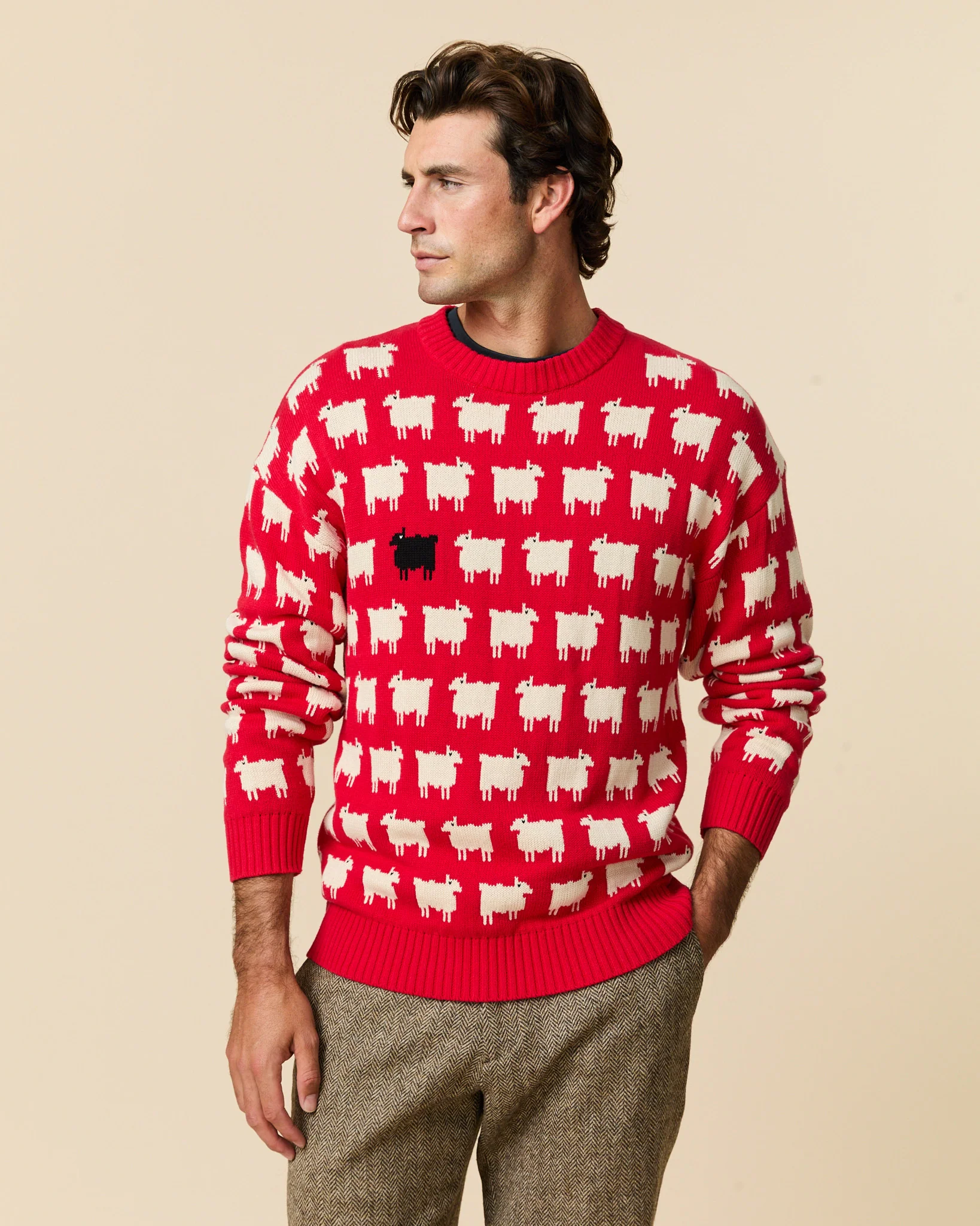 Warm & Wonderful Men's "Diana Edition" Cotton Sheep Sweater - Image 5