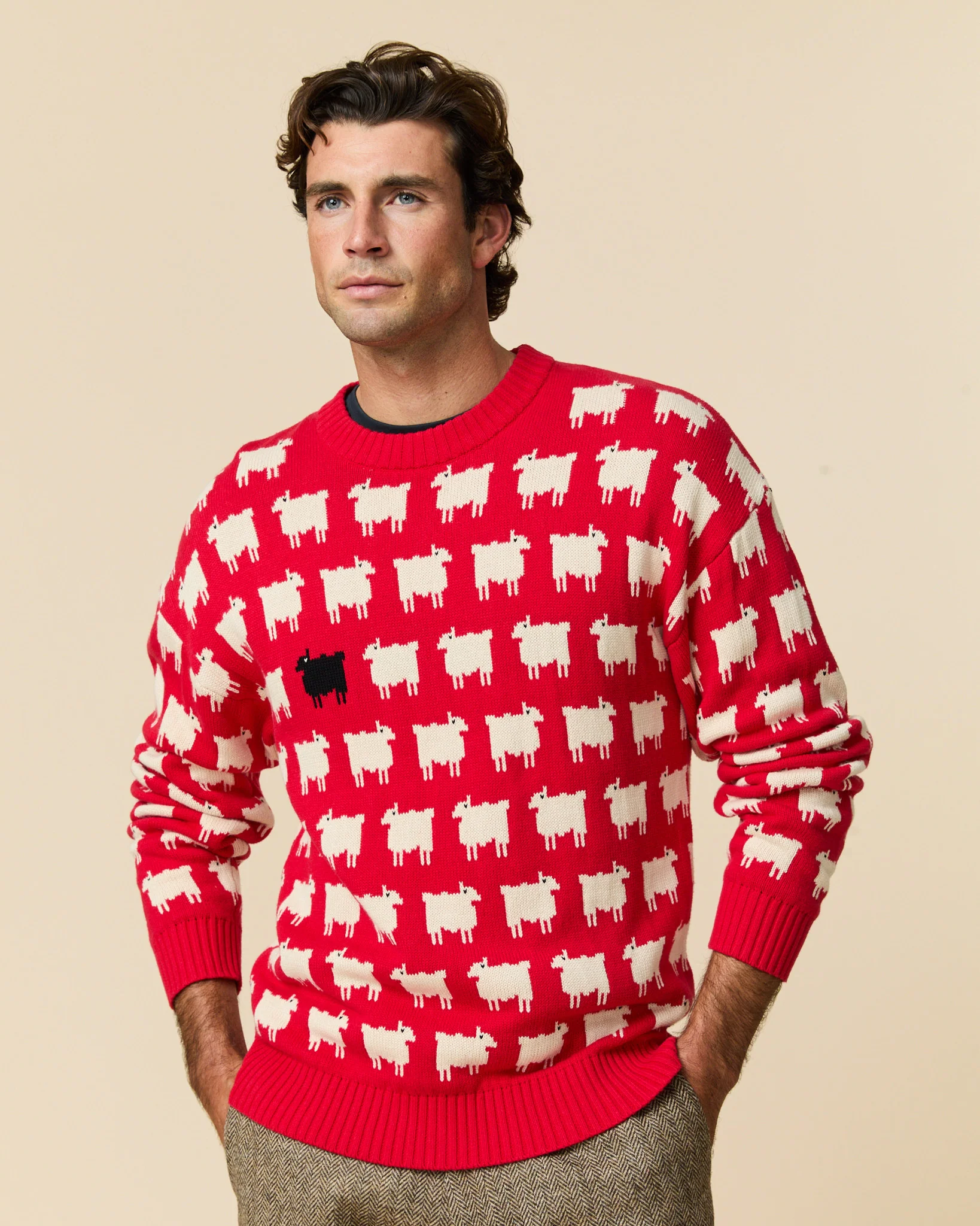 Warm & Wonderful Men's "Diana Edition" Cotton Sheep Sweater - Image 6