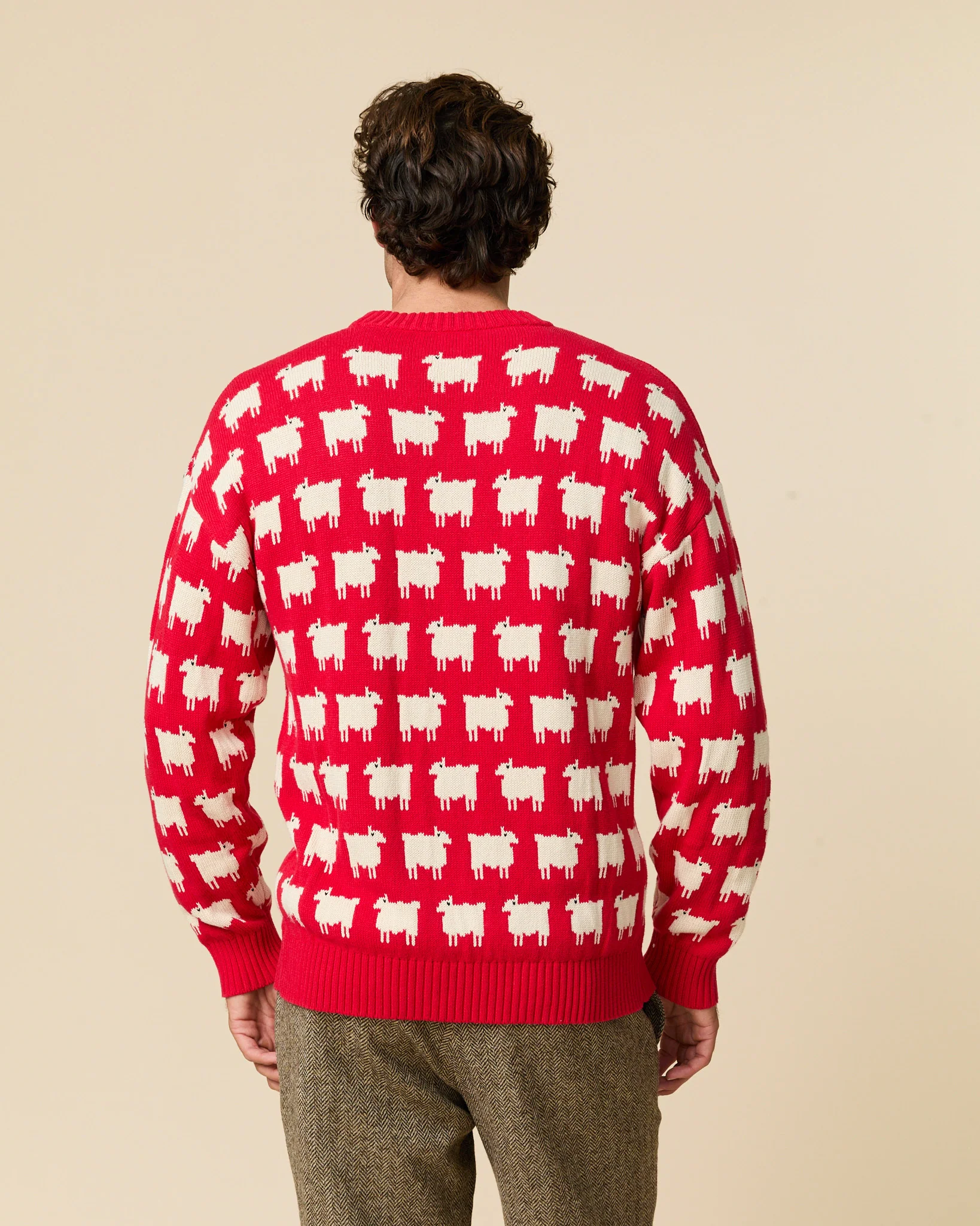 Warm & Wonderful Men's "Diana Edition" Cotton Sheep Sweater - Image 7