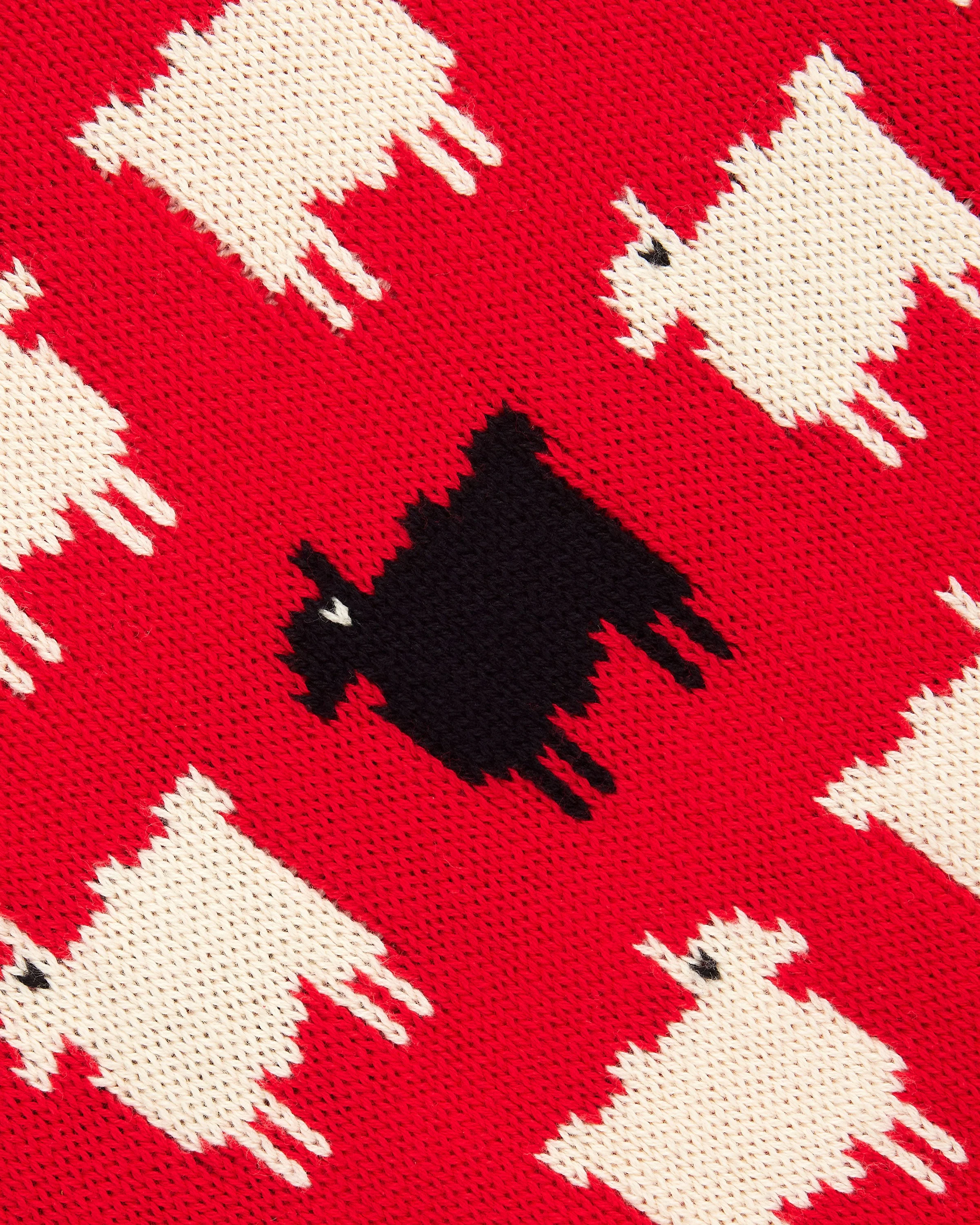 Warm & Wonderful Men's "Diana Edition" Cotton Sheep Sweater - Image 8