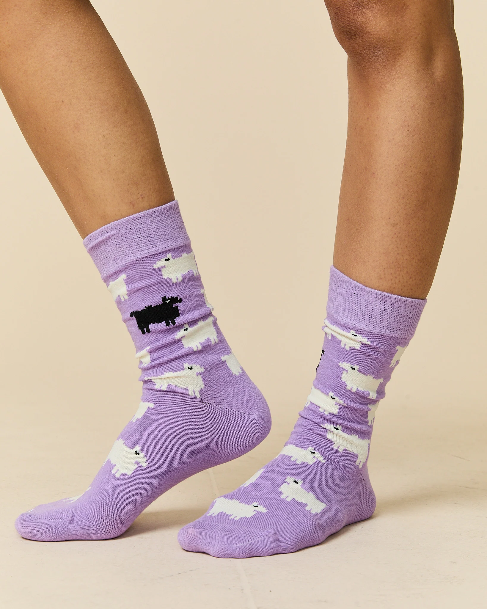 Sheep Socks Lavender - Image 3