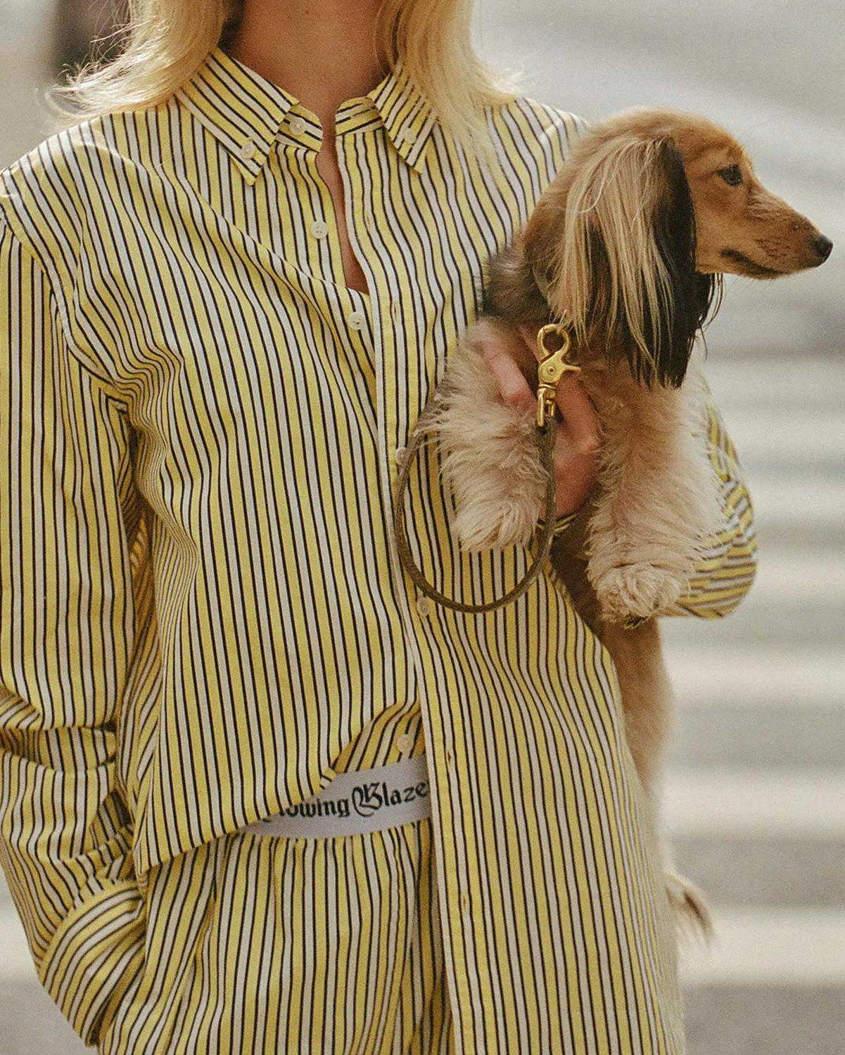 Men's Long Sleeve Classic Fit Stripe Poplin Shirt Yellow Vertical Stripe - Image 6